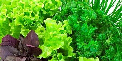 Vegetables -Sharing to increase potential in men