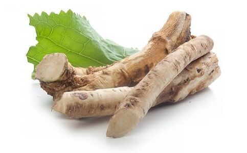 radish root to increase potency