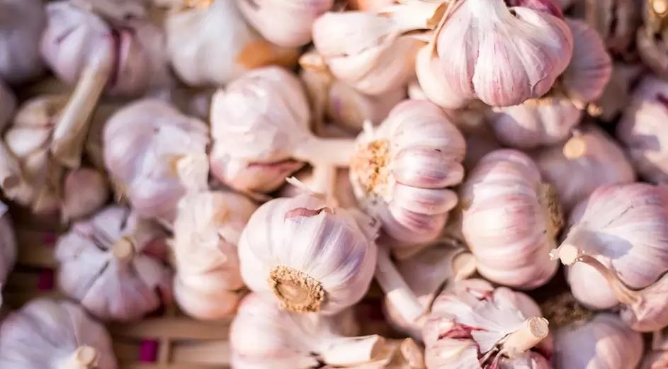 Garlic for potency