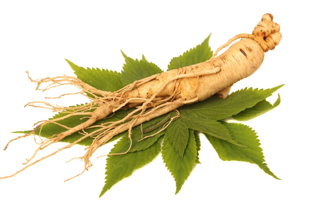 ginseng - element of the composition Alfazone